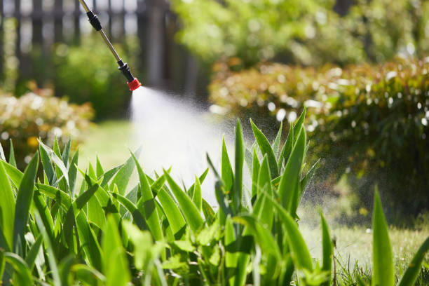 24/7 Emergency Cockroach Control experts in Meiners Oaks, CA