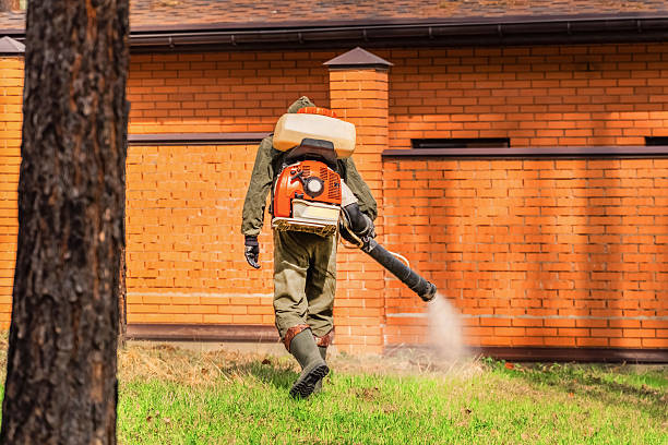 Trusted Mosquito Control service in Meiners Oaks, CA - Nex Pest Control